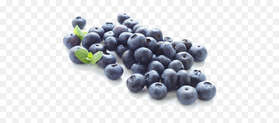Blueberry Clipart Transparent - Fresh Blueberries Png Emoji,Blueberry Emoji