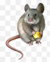 Largest Collection Of Free - Realistic Mouse Clipart Emoji,Mice Emoji