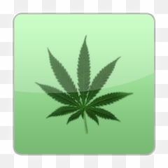 10Weed Wallpapers 480x850 Ti v APK Android Aptoide - Marijuana Leaf Emoji