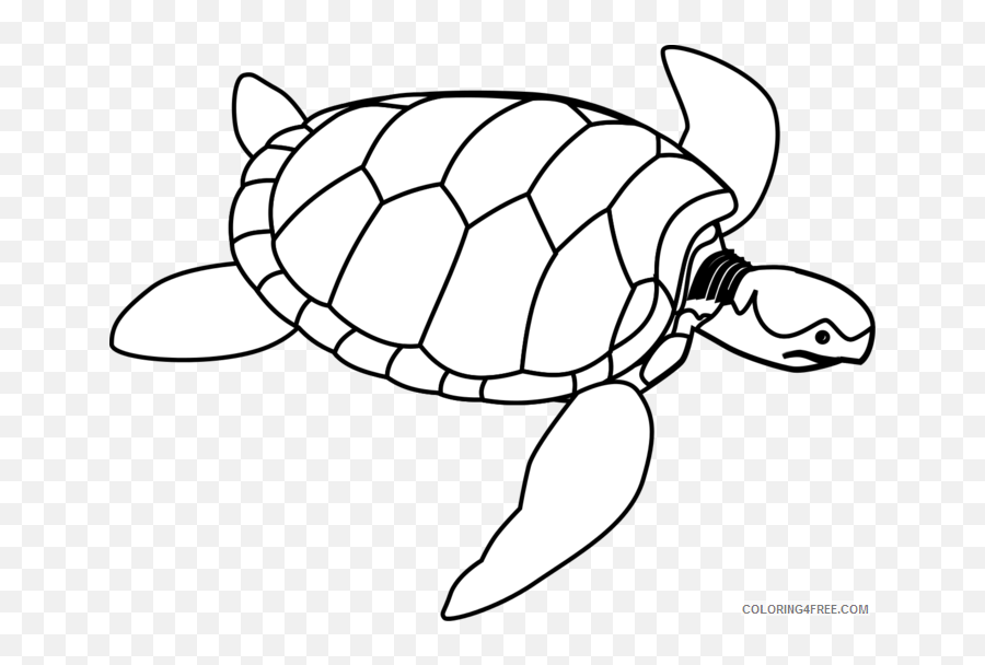 Turtle Shell Template - Water Animals Black And White Emoji,Turtle Emoji
