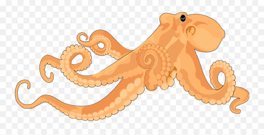 Octopus Clip Art Free Clipart Images 3 - Clipartix Realistic Octopus Clip Art Emoji,Octopus Emoji