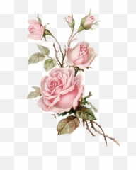 Vintage Pink Roses Png Free Vintage - Vintage Pink Flower Png Emoji,Pink Rose Emoji