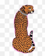 Leopard Cheetah Sticker - Cheetah Drawing Aesthetic Emoji,Cheetah Emoji