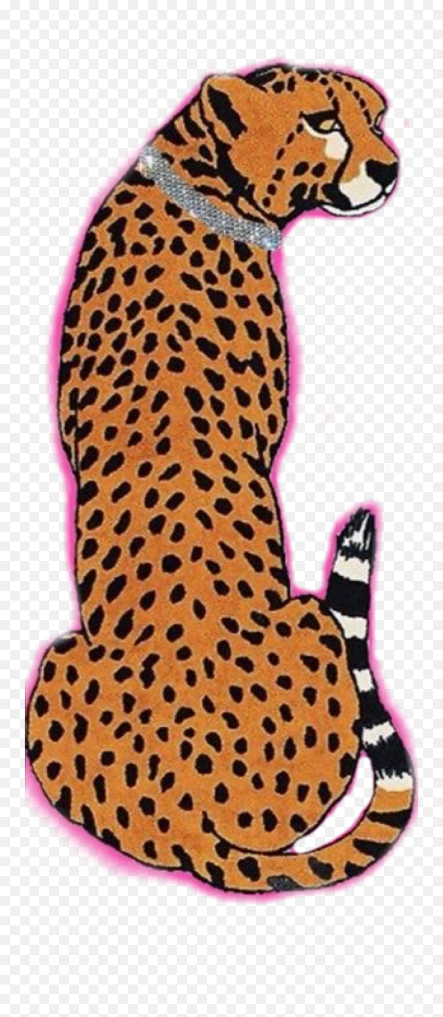 Leopard Cheetah Sticker - Cheetah Drawing Aesthetic Emoji,Cheetah Emoji