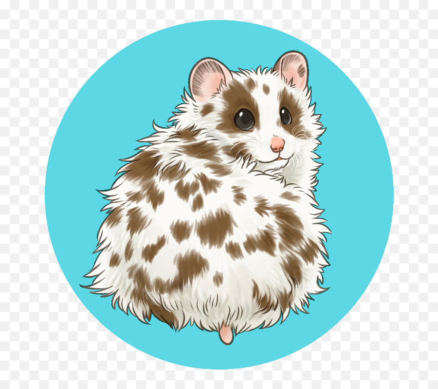 Our Hamsters U2013 Hubba - Hubba Hamstery Furry Friend Furry Huba Huba Hamster Emoji,Syrian Flag Emoji