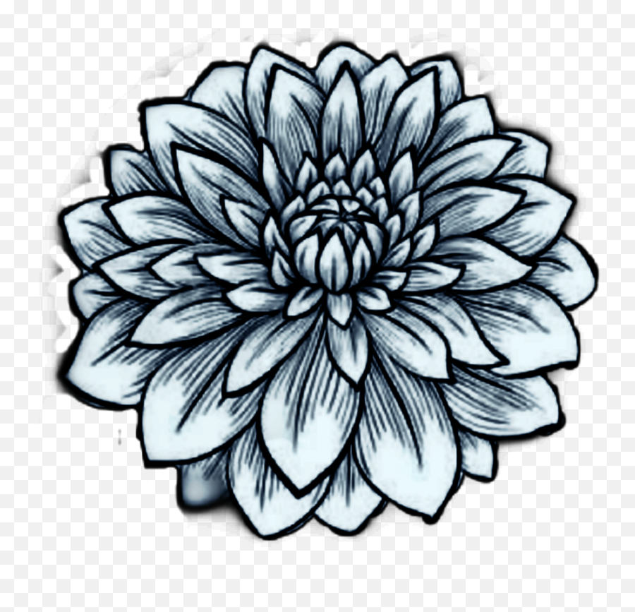 Blackandwhite Whiteflower Sticker By Donna - Lovely Emoji,Black And White Flower Emoji