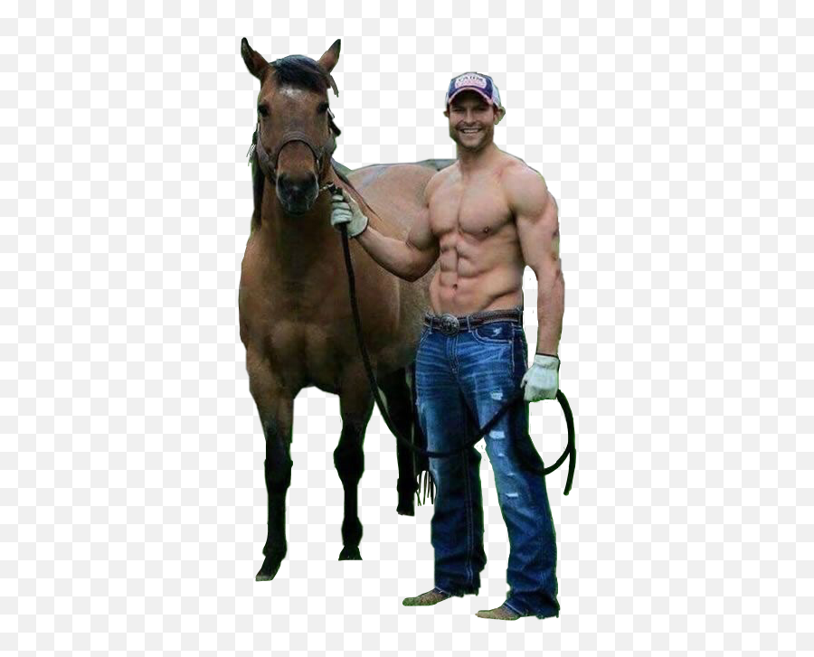 Cowboy Horse Countryboy Man Muscles - Adam Levine On A Horse Emoji,Horse And Muscle Emoji