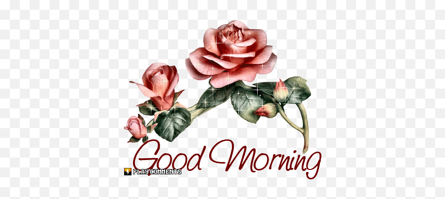 Good Morning Comments For Your Page Page 26 - Beautiful Good Morning Gif Emoji,Good Bye Emoticons