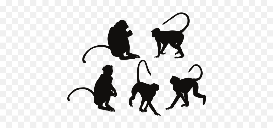 100 Free Ape U0026 Monkey Illustrations - Pixabay Rhesus Macaque Emoji,Monkeys Emoji