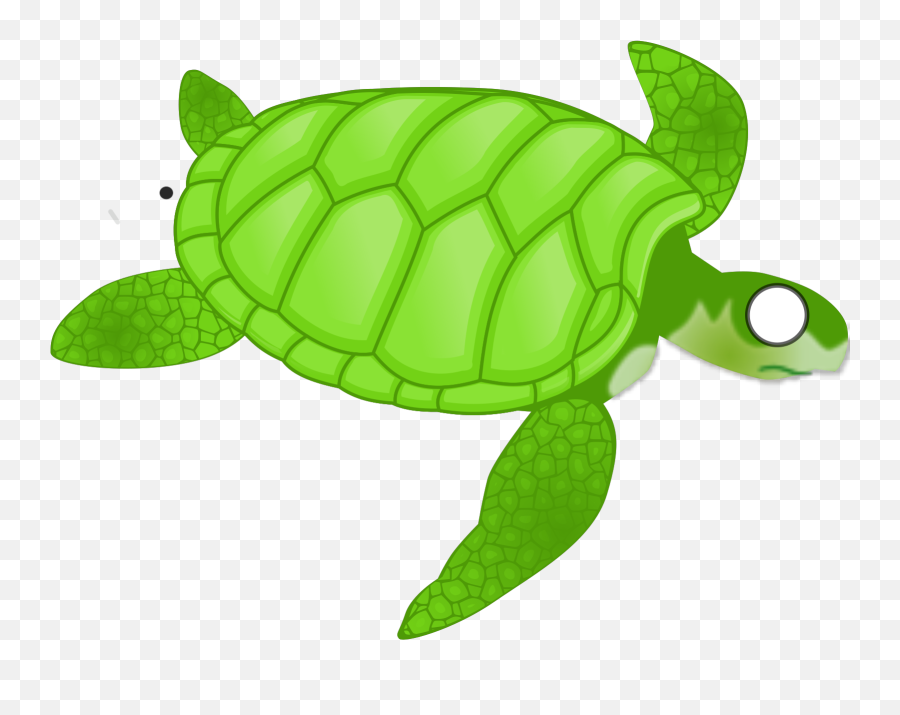 Turtle Png Svg Clip Art For Web - Sea Turtle Clipart Png Emoji,Turtle Emoji