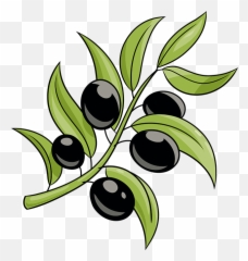 How To Draw An Olive Branch - Emoji