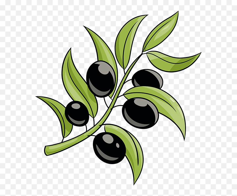 How To Draw An Olive Branch - Draw An Olive Branch Emoji,Olive Emoji