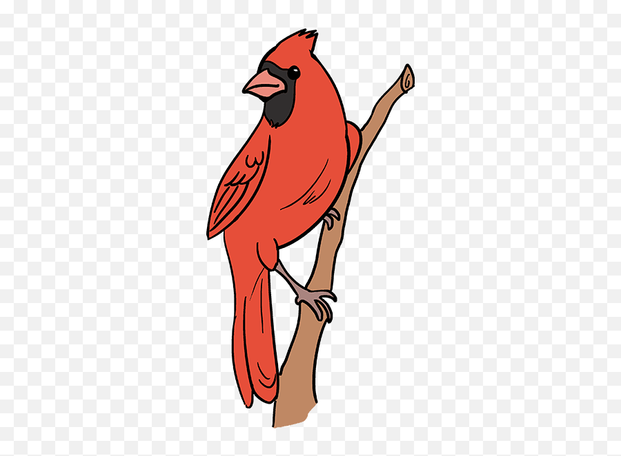 How To Draw A Cardinal Bird - Cardinal Drawing Easy Emoji,Cardinals Emoji