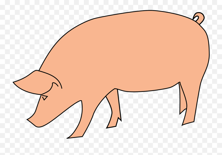 Bavi Livestock Oink Pig Piggy Swine - Baboy Clipart Emoji,Lady Pig Emoji