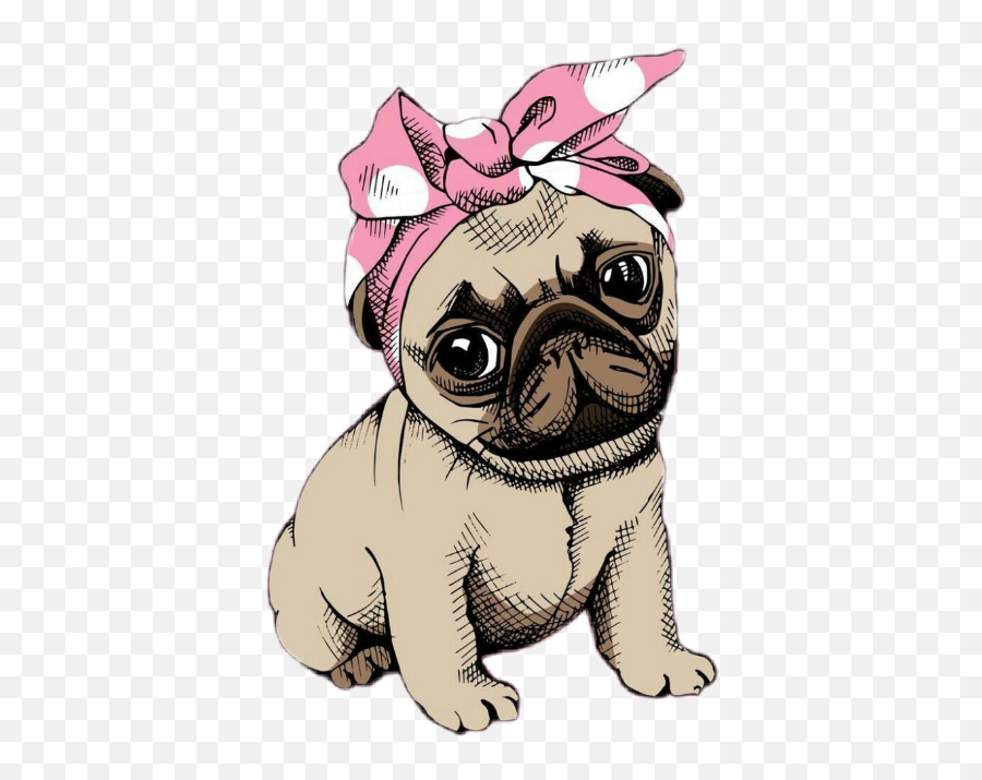 Largest Collection Of Free - Toedit Cachorro Stickers On Pug Png Emoji,Jiffpom Emoji