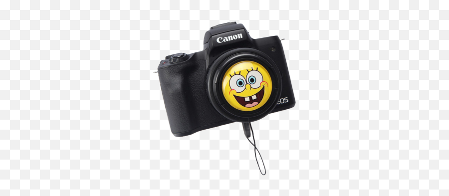 Hippoce - Digital Camera Emoji,Hippo Emoticon