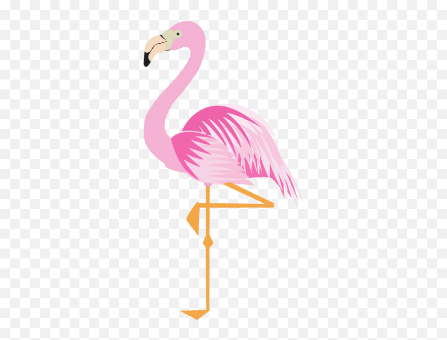 Pets Animals Animals Pink Flamingo - Greater Flamingo Emoji,Pink Flamingo Emoji