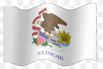 Latest Project - LowGif Illinois Flag Waving Emoji
