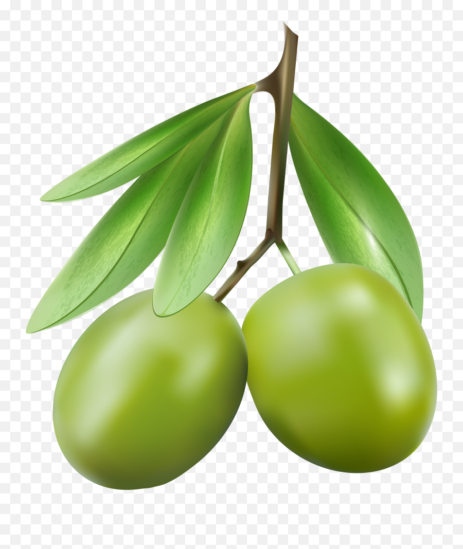 Green Olives Png Clipart - Full Size Clipart 667242 Clipart Olive Png Emoji,Olive Oil Emoji