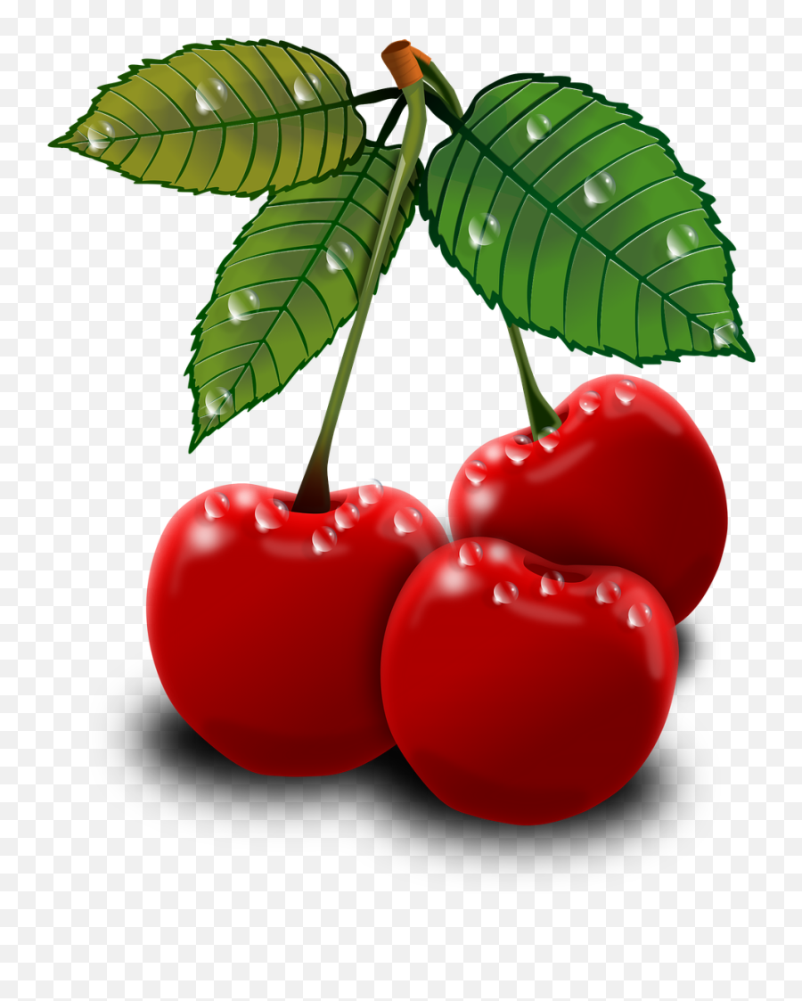 Mango Clipart Cherry Mango Cherry Transparent Free For - Bewegliche Bilder Kostenlos Downloaden Emoji,Cherries Emoji