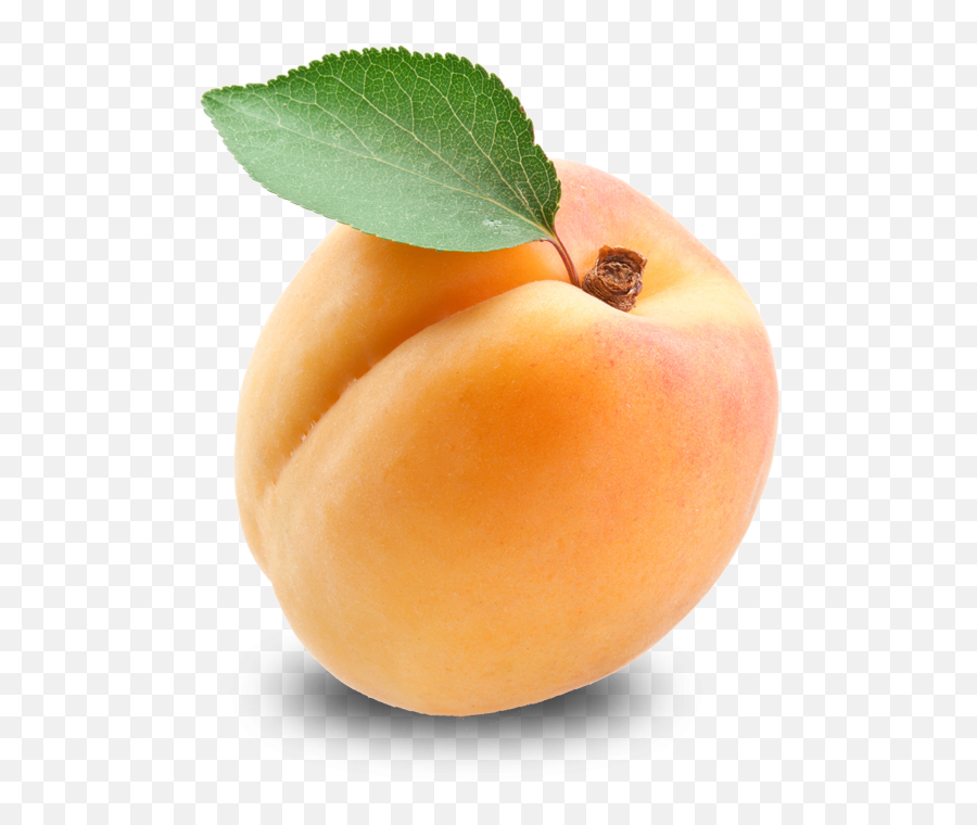 Fruit Apricot Food Png Moodboard Niche - Apricot Png Emoji,Apricot Emoji
