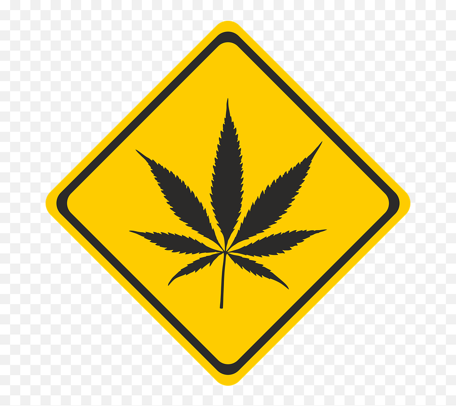 Cannabis Hemp Intoxicant - Pot Leaf Emoji,Pot Leaf Emoji
