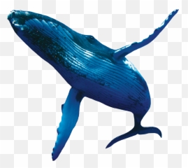 Whale Png Blue Cute Sea Fish - Transparent Emoji