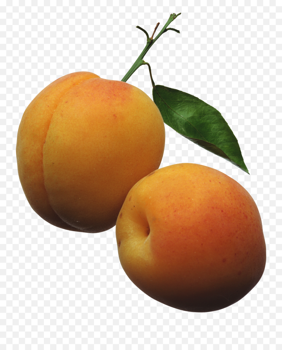 Look At Apricot Hq Clip Art Images - Apricots Clipart Emoji,Apricot Emoji