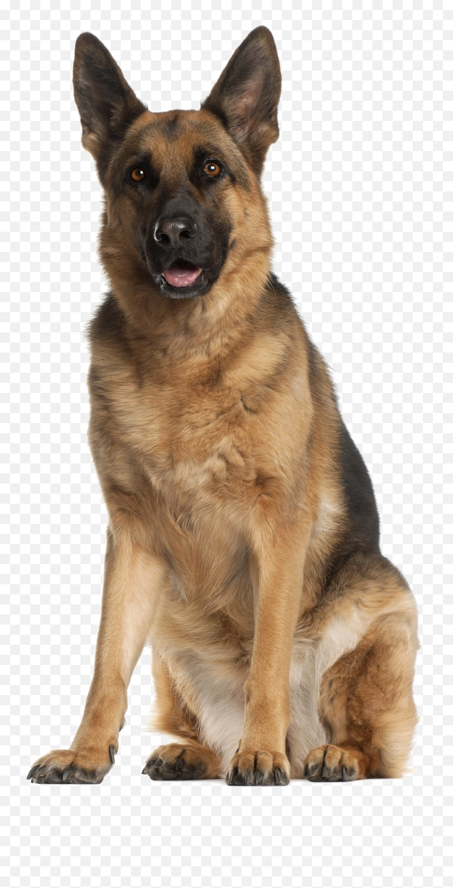 German Shepherd Png - German Shepherd Emoji,Pit Bull Emoji