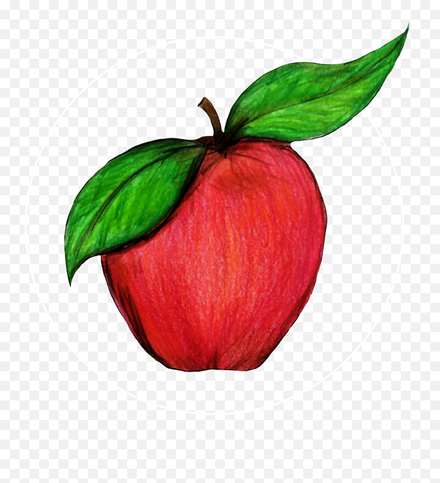 Jason B Graham Apple - Mcintosh Emoji,Apple Logo Emoji