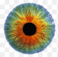 Download Free Png Real Eye Image - Colorful Iris Emoji