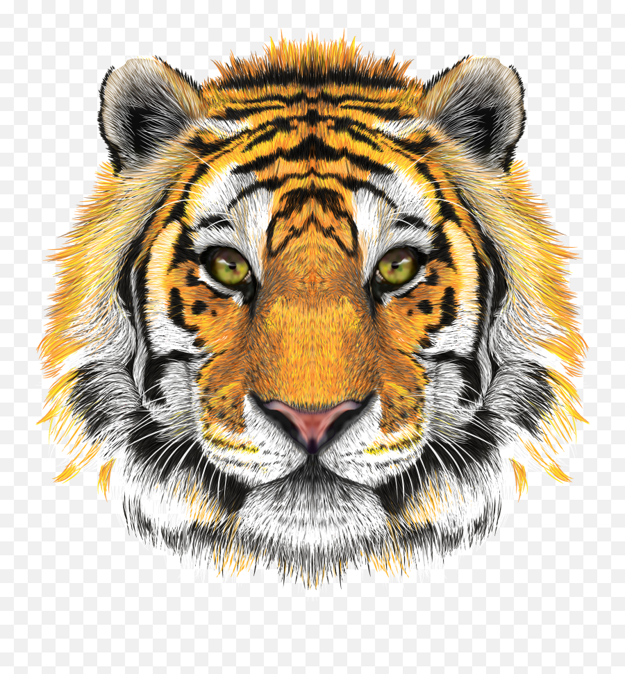 Transparent Tiger Head Clipart - Tiger Face Hd Png Emoji,White Tiger Emoji