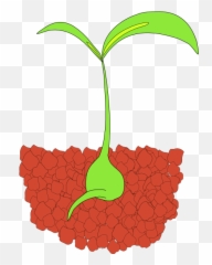 Plant Clipart Seedling Plant Seedling - Seedling Clip Art Emoji,Bean Sprout Emoji