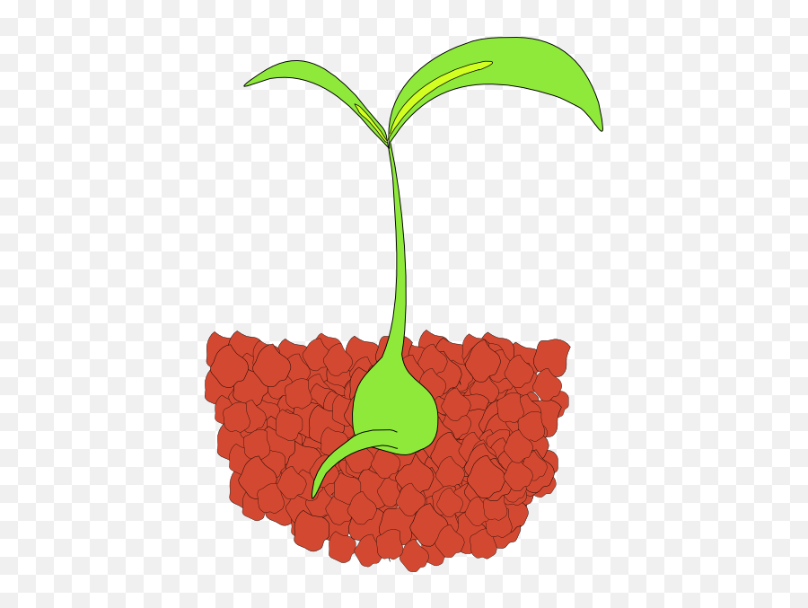 Plant Clipart Seedling Plant Seedling - Seedling Clip Art Emoji,Bean Sprout Emoji