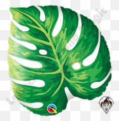 21 Inch Shape Tropical Philodendron - Leaf Emoji