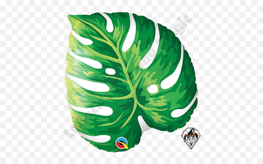 21 Inch Shape Tropical Philodendron - Tropical Leaf Emoji,Squirting Emoji