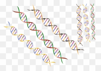 Free Helix Dna Images - Dna Emoji,Dna Emoji