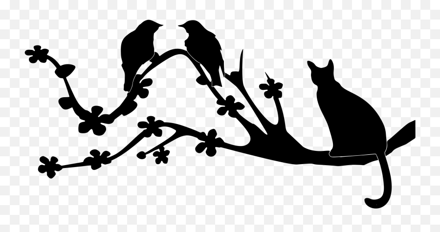 Bird Cat Silhouette Branch Clip Art - Birds Silhouette Png Bird Branck Silhouette Png Emoji,Turtle Bird Emoji