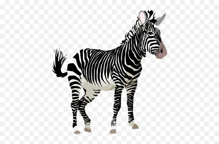 Download Zebra Png Clipart Hq Png Image - Zebra Clipart Emoji,Zebra Emoji
