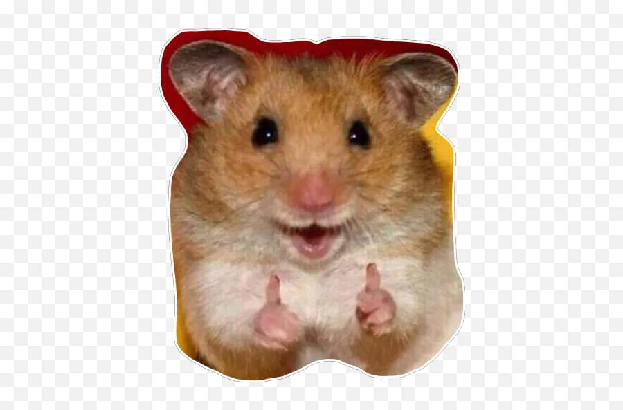 Hamster Stickers For Whatsapp - Funniest Animals Emoji,Mouse Rabbit Hamster Emoji