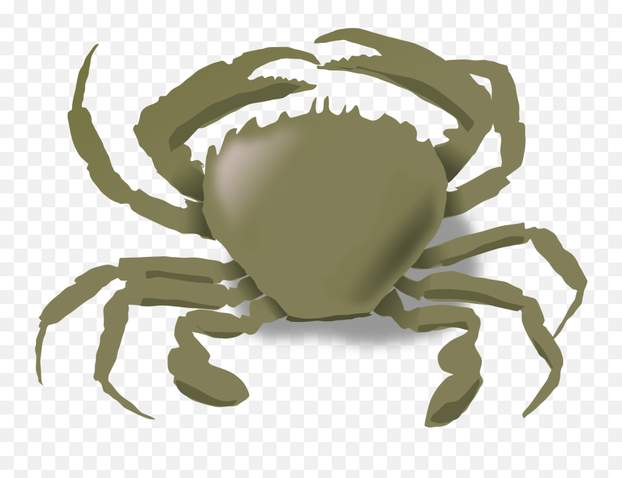Seafood Clipart Chilli Crab Seafood - Land And Water Living Animals Emoji,Crab Emoticon