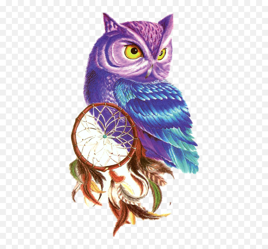 Owls Sticker Challenge On Picsart - Cool Colored Owl Drawings Emoji,Scowl Emoji