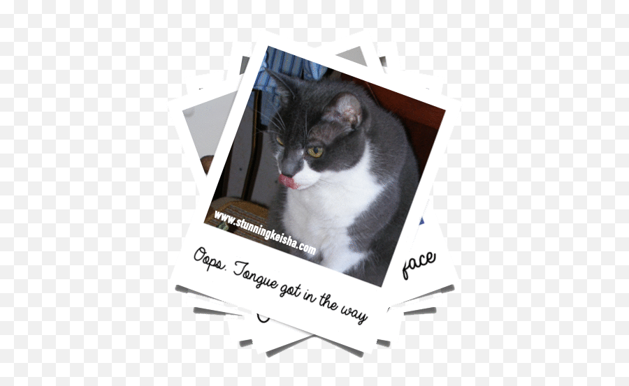 Polaroid Love Stunning Keisha - Photo Caption Emoji,Bongo Cat Emoji