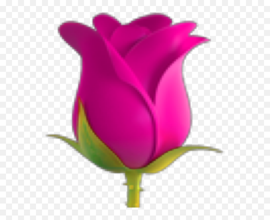 Emoji Flower Floweremoji Rose Pink - Rose Emoji Whatsapp Png,Pink Rose Emoji