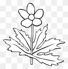 Anemone Canadensis Flower Outline Vector Image - Plant White And Black Emoji,Pot Leaf Emoji