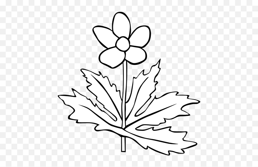 Anemone Canadensis Flower Outline Vector Image - Plant White And Black Emoji,Pot Leaf Emoji