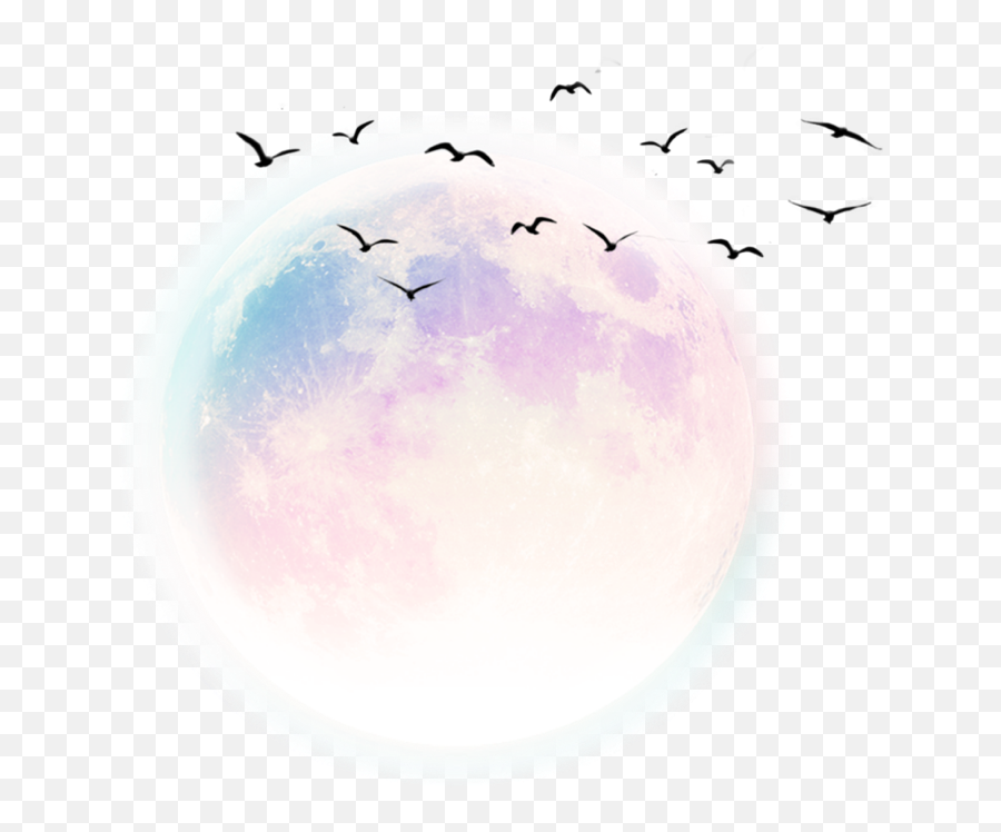 Planets Space Moon Sun Stars Star - Star Emoji,Sun And Bird Emoji