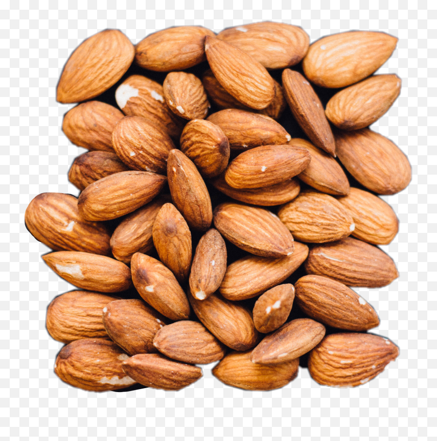 Almond Almonds Nut Nuts Nature Nice - Almond Emoji,Almond Emoji