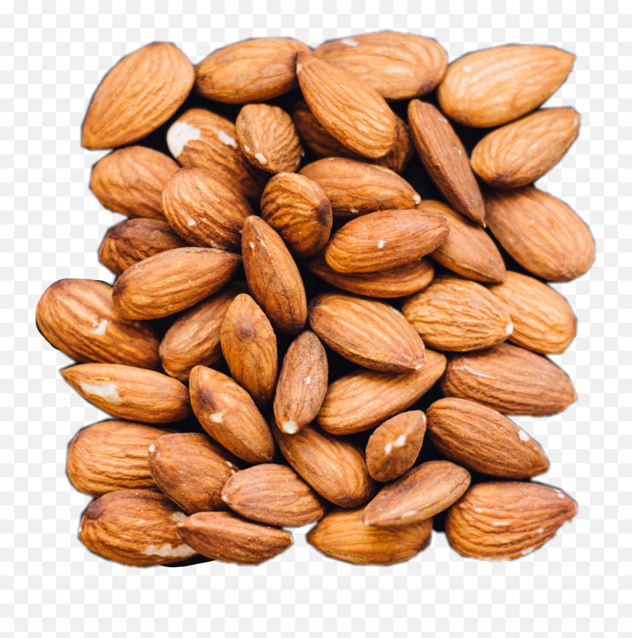 Almond Almonds Nut Nuts Nature Nice - Almond Emoji,Almond Emoji - free