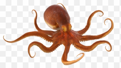 The Newest Octopus Stickers On Picsart - Octopus Png Emoji,Octopus Emoji